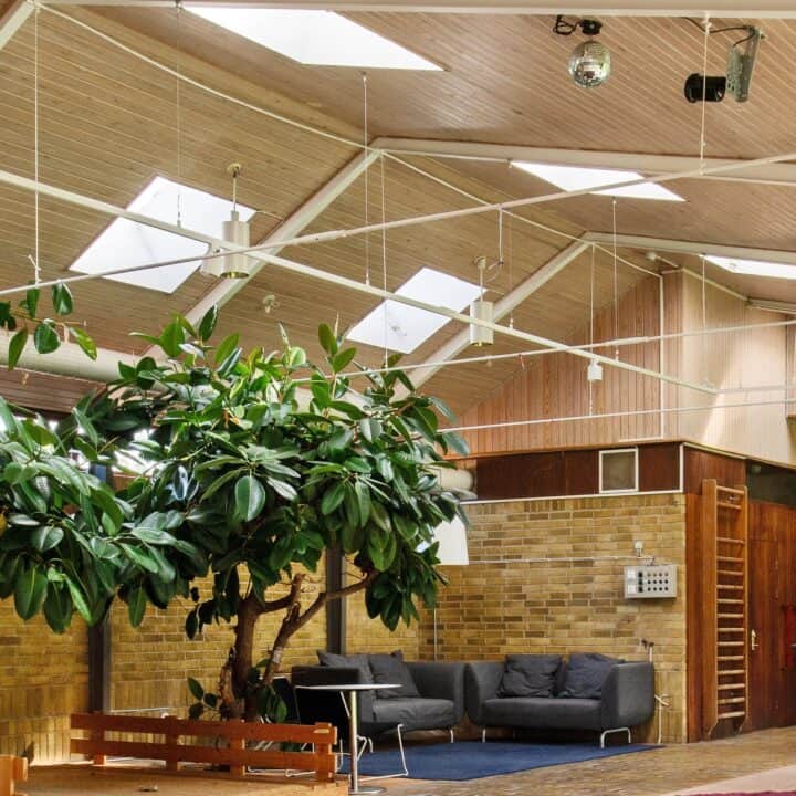 Sunnanå course venue: Part of the course centre with high ceilings and a large tree growing indoors, as well as a seating area